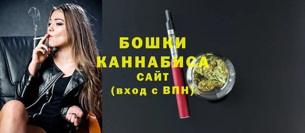 стафф Аркадак