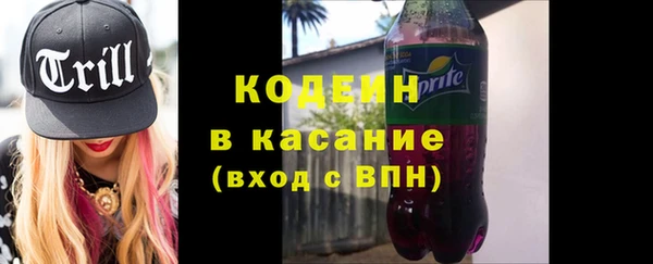 шишки Богородск