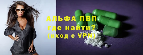 прущие грибы Богородицк