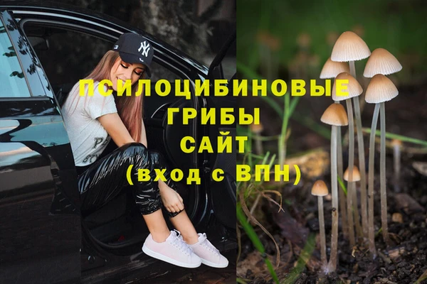 прущая мука Арсеньев