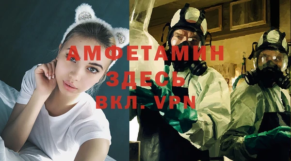 прущая мука Арсеньев