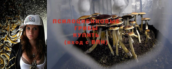 прущая мука Арсеньев
