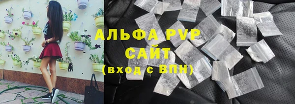 прущие грибы Богородицк