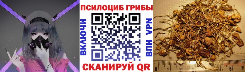 мега рабочий сайт  Сретенск  Псилоцибиновые грибы Cubensis 